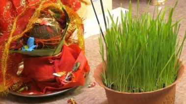 आज फुलपाती, घरघर र शक्तिपीठमा फूलपाती भित्र्याईदै