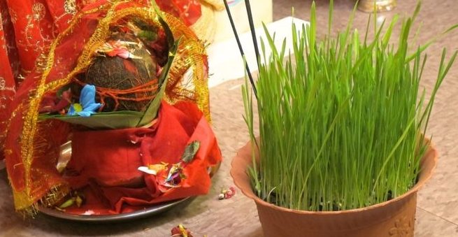 आज फुलपाती, घरघर र शक्तिपीठमा फूलपाती भित्र्याईदै