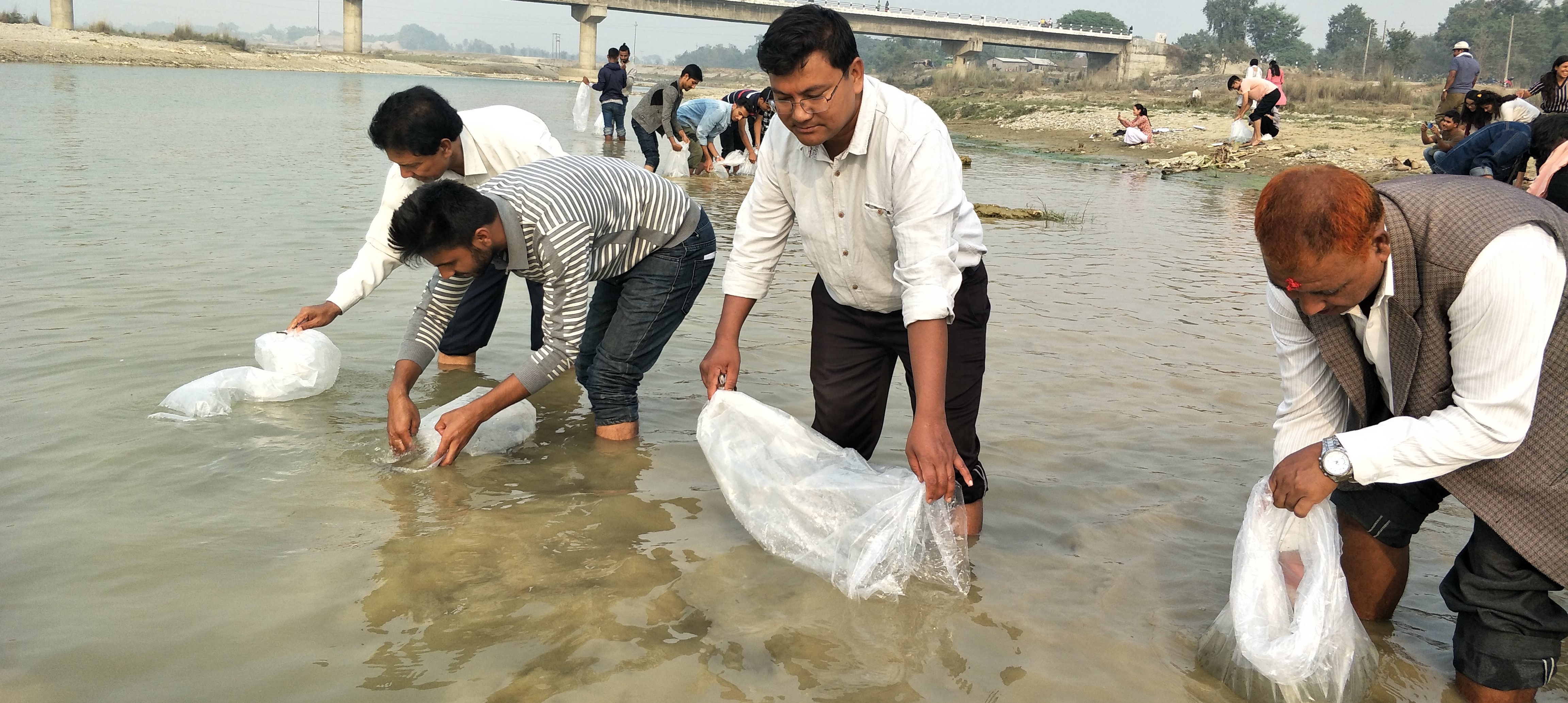 माछाको संख्या बढाउन तिनाउ नदिमा छोडियो एक लाख भुरा