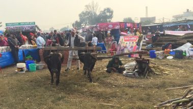 मणिग्राम मेलामा दोस्रो दिन १५ हजार दर्शक