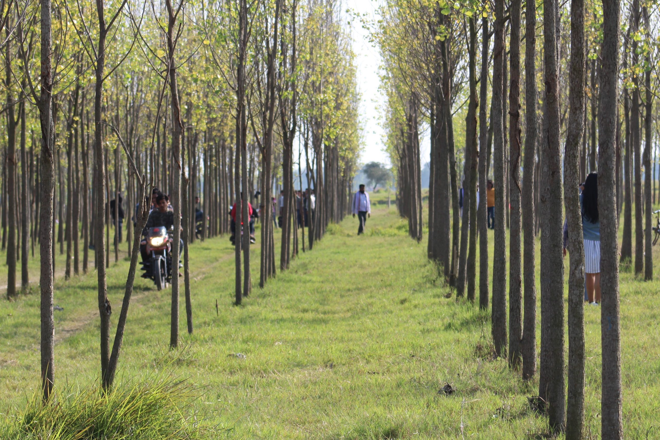 पर्यटकीय गन्तब्य बन्दै धकधईको ग्रीन जोन