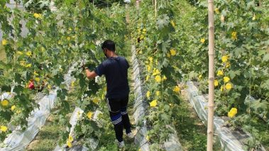 कृषि मन्त्रीलाई तिलोत्तमाको सुझाव : मल, बीऊ र कृषि उपकरणमा ७५ प्रतिशतसम्म अनुदान माग