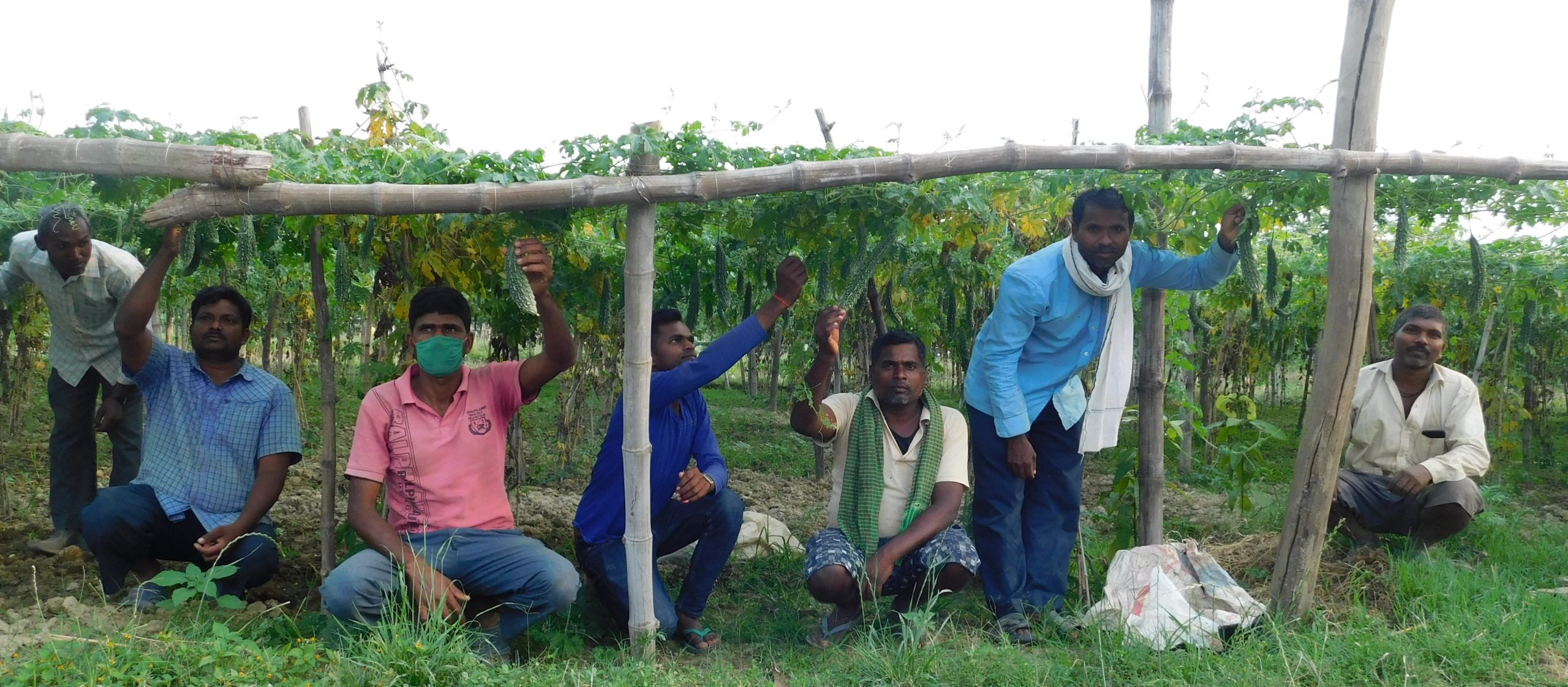 रुपन्देहीमा व्यवसायीक तरकारी खेतीमा लागेका किसान व्यस्तसंगै मस्त