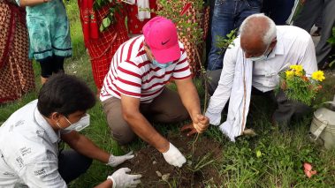 तिलोत्तमाको सडकमा ७ प्रजातीका ३ सय  फुल रोपियो