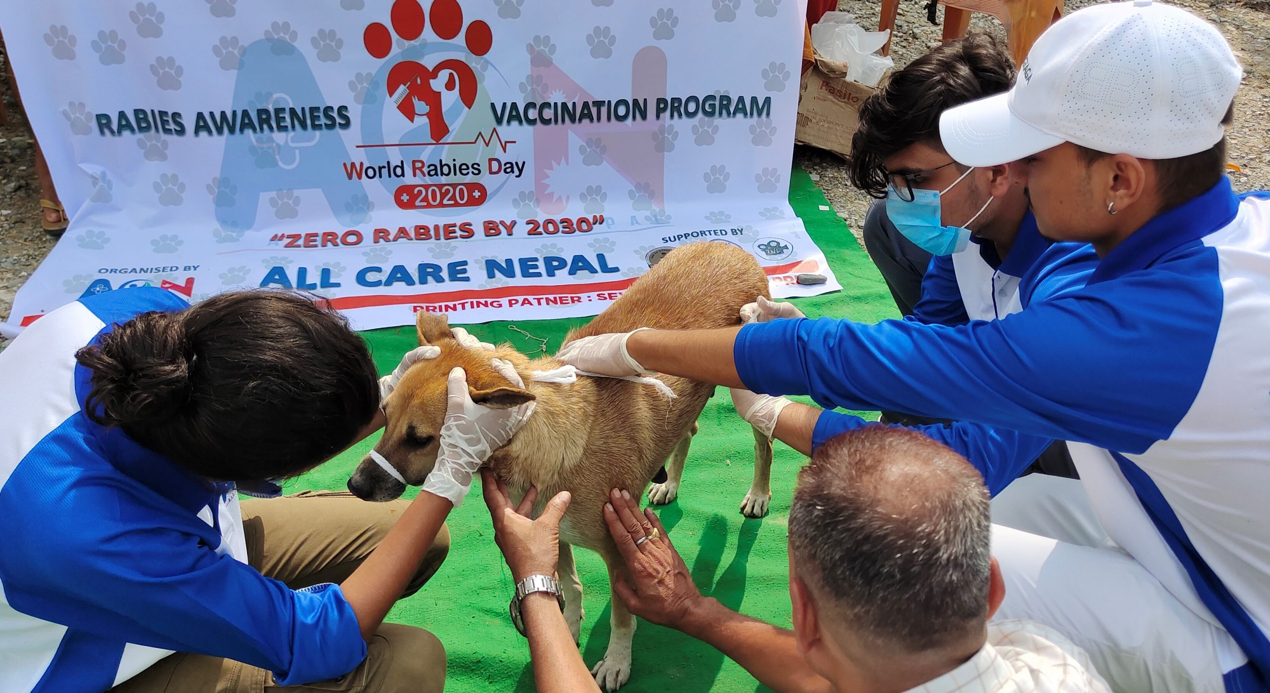 रेबिज दिवसमा बुटवलमा सडक कुकुरलाई भ्याक्सिन