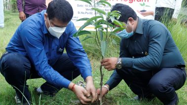 लायन्स क्लब अफ भैरहवा ग्रीन सिटीद्धारा संविधान दिवसमा  बृक्षारोपण