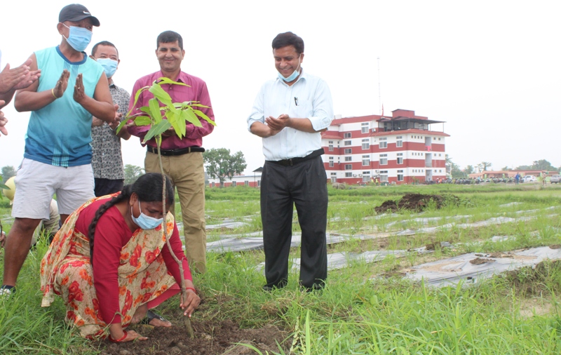 पदस्थापनको पाँचौं वर्ष प्रवेशको अवसरमा तिलोत्तमामा बृक्षा रोपण