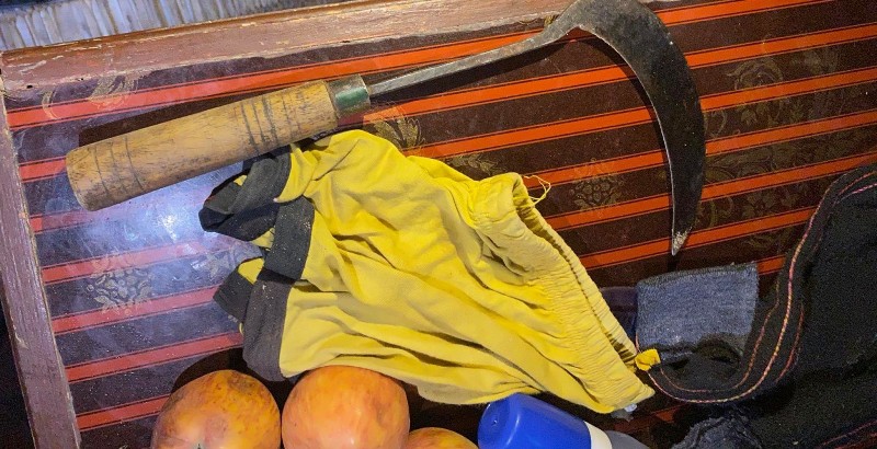 रुपन्देहीमा ८ महिने नाबालक छोराको हत्या आरोपमा बुवा आमा पक्राउ