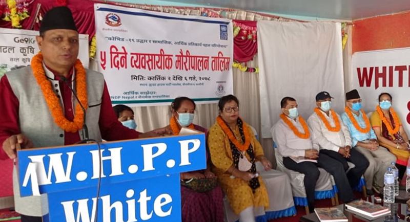 सैनामैना नगरपालिकाले धान वालीमा भएको क्षतिको विवरण संकलन गर्ने