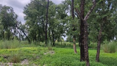 गृहमन्त्रीको अगुवाईमा समाधान हुने भो मोतिपुर औद्योगिक क्षेत्रको समस्या