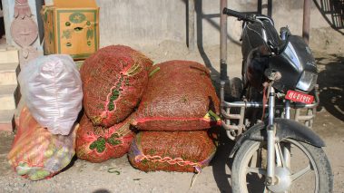 करिव १५ लाख रुपैयाँ बराबरको अबैध सामान रुपन्देही प्रहरीको नियन्त्रणमा