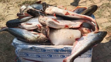 १ लाख ४हजार ५ सय रुपैया बराबरको सामान प्रहरीको नियन्त्रणमा