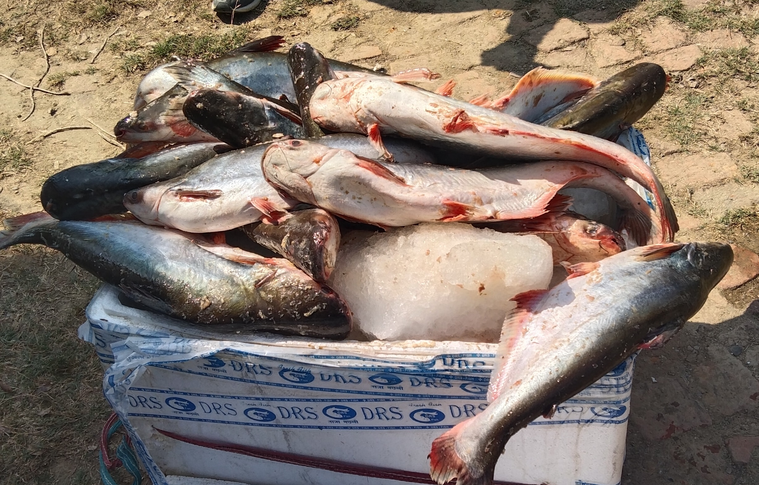 १ लाख ४हजार ५ सय रुपैया बराबरको सामान प्रहरीको नियन्त्रणमा