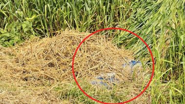 रुपन्देहीको सियारीमा परालले ढाकेको अवस्थामा महिलाको शव फेला, हत्या गरि फालिएको आंशका