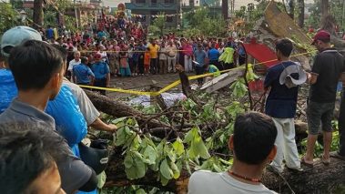 हावाहुरीका कारण ढलेका रुखले च्यापिएर नवलपरासी र कपिलवस्तुमा ३ जनाको मृत्यु, ३ घाइते