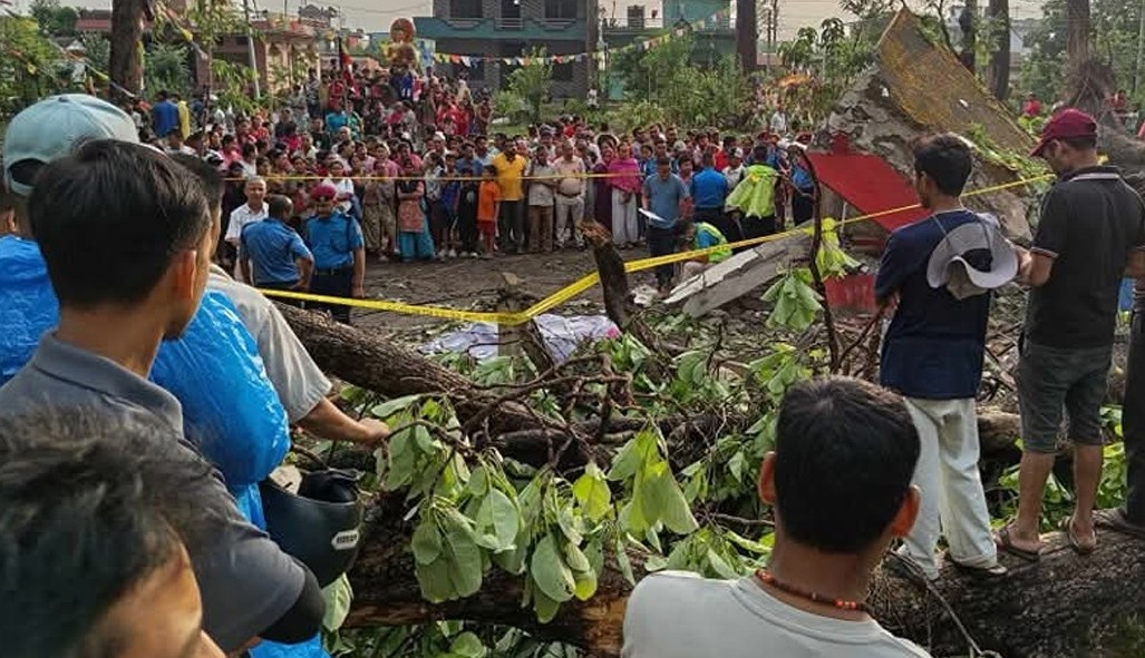हावाहुरीका कारण ढलेका रुखले च्यापिएर नवलपरासी र कपिलवस्तुमा ३ जनाको मृत्यु, ३ घाइते